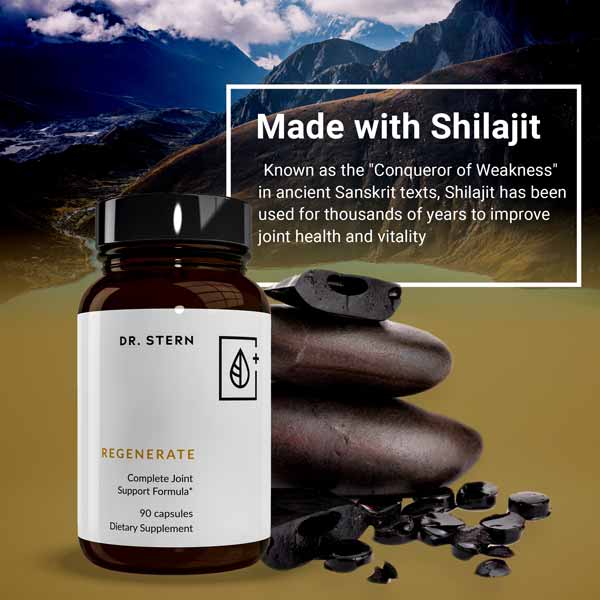 REGENERATE - JOINT SUPPORT FORMULA