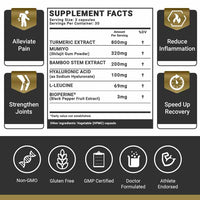 REGENERATE - JOINT SUPPORT FORMULA